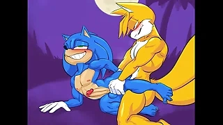 Sonic and Tails Under the Moon [Jackofak]