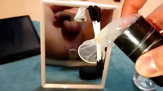 vibrator to pest