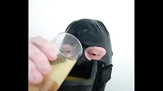 All the following are slaaf drinkt pis uit urinaal pranks